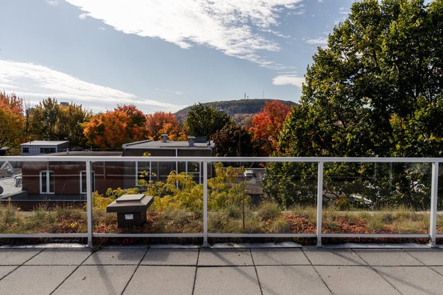 Terrasse au toit - Image 1
