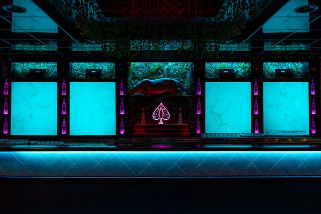 PANDORA - Image 5