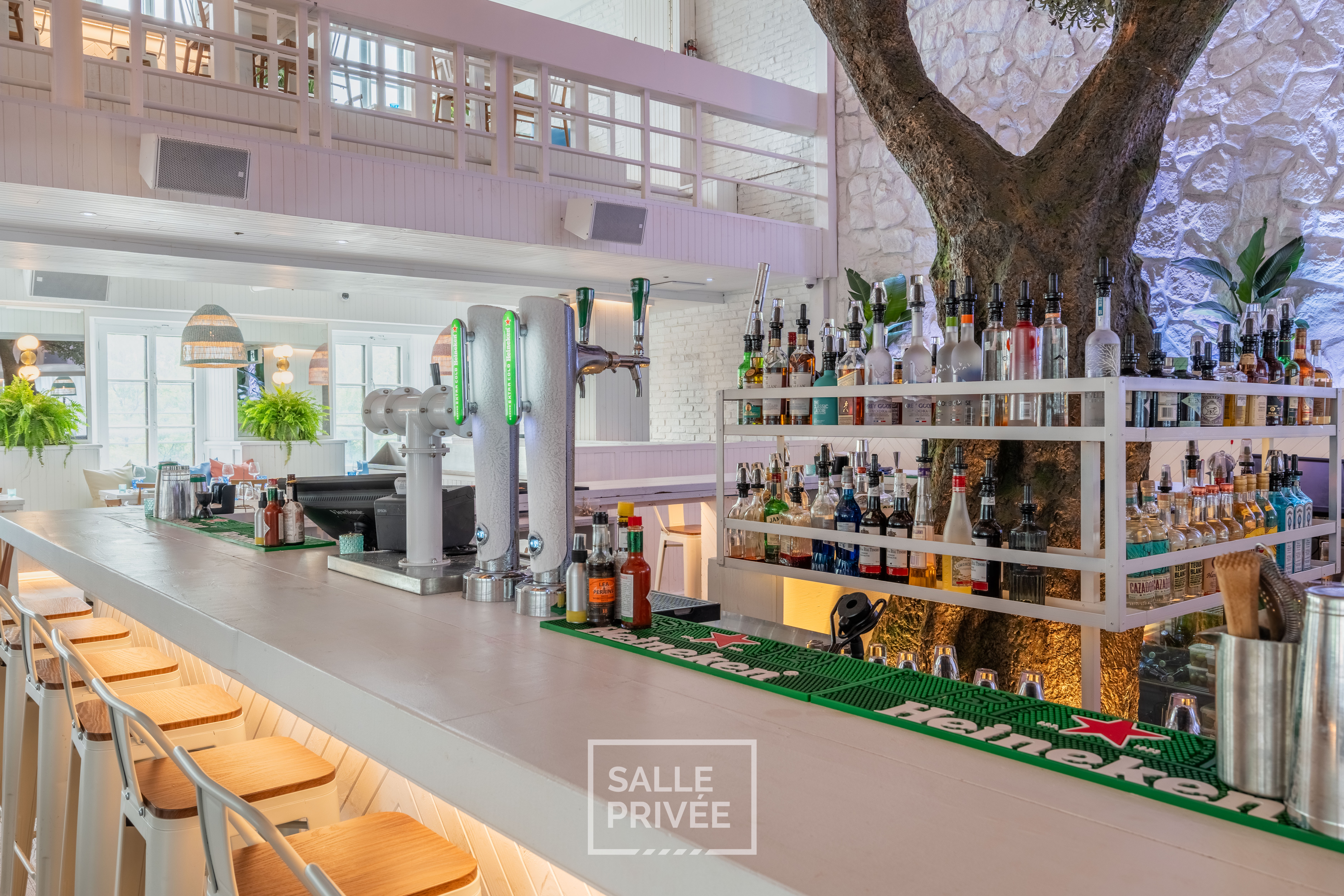 Restaurant Pangea